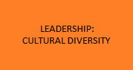 Leadership-diversity-t
